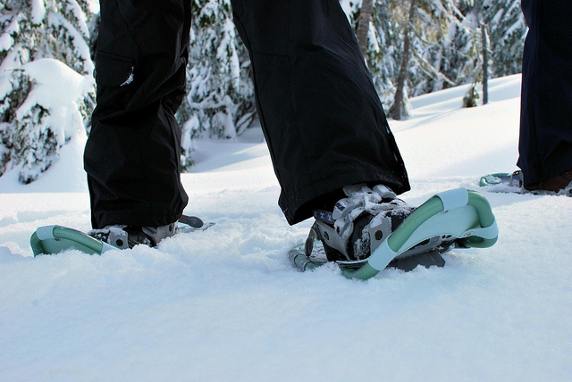 Excursiones en raquetas de nieve